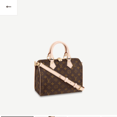 Louis Vuitton LV Speedy 25 枕头包 M41113