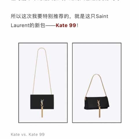 Saint laurent Ysl Kate 99 小羊皮包 604276