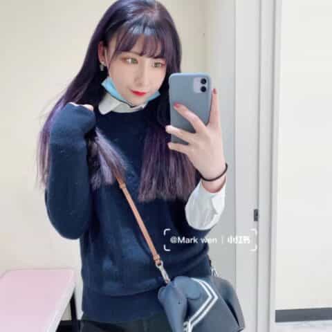 LOEWE罗意威 Elephant stripes Mlnl bag斜挎小象包 0192蓝色