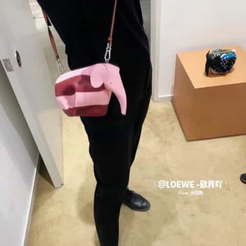 Loewe罗意威 elephant stripes Mlnl bag经典斜挎小象包 0192粉红拼色
