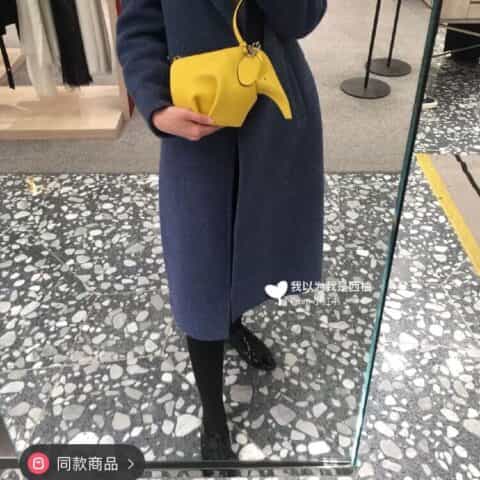 Loewe罗意威 Elephant小象肩挎包 0192黄色