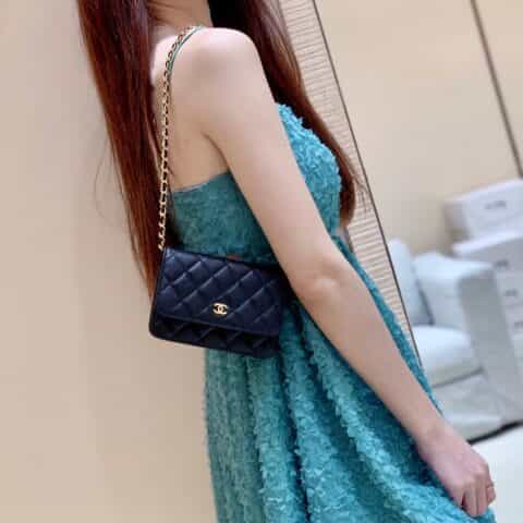 Chanel Mini woc经典款之Wallet on chain单肩斜挎链条包 AP1649