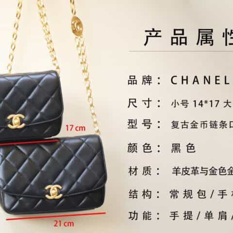 Chanel香奈儿 2020秋冬复古金币链条口盖包 大号