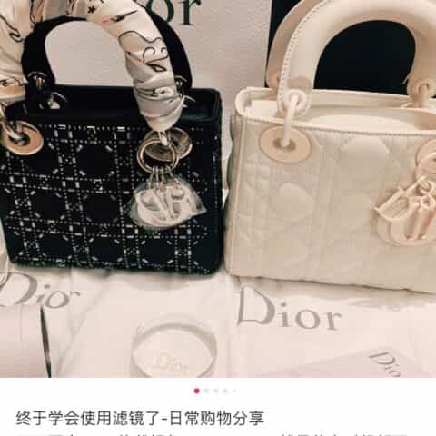 Dior Lady Mini 真丝镶钻戴妃包