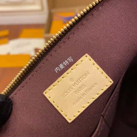 Louis Vuitton LV Turenne Bag M48813 M48814
