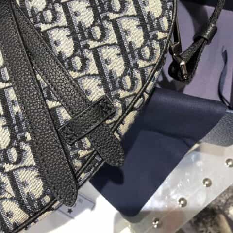 Dior Mini Saddle Bag 迷你马鞍包 1ADPO191YKY_H27E