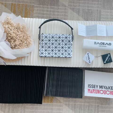ISSEYMIYAKE三宅一生BAGUETTE新系列法棍包腋下包BB11-AG991