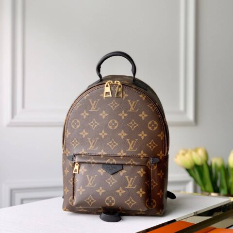 M44871 LV PALM SPRINGS 小号双肩包