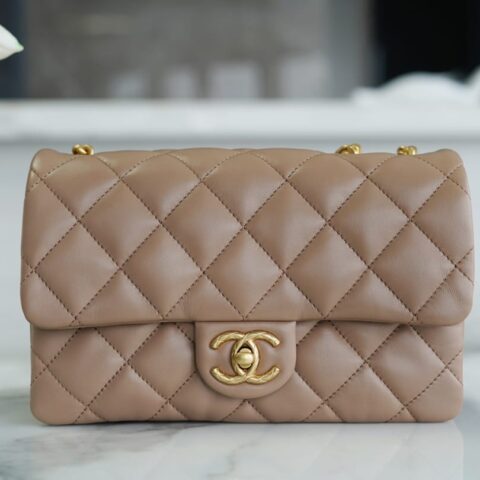 CHANEL 22K 新款调节扣口盖包 AS3393 B09209 NK288