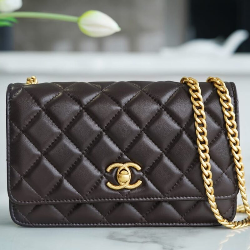 CHANEL 22K 小金柱 调节扣woc链条钱包 AP3043深棕色