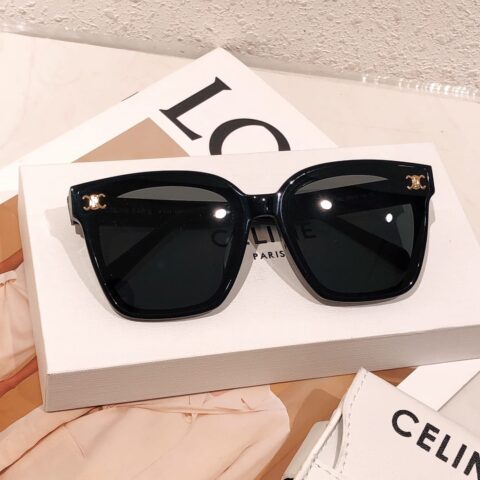 CELINE赛琳凯旋门镜腿字母logo女士太阳眼镜