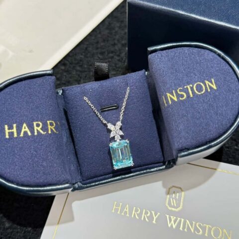 ☀️HARRY WINSTON HW海瑞温时顿 海蓝宝项链