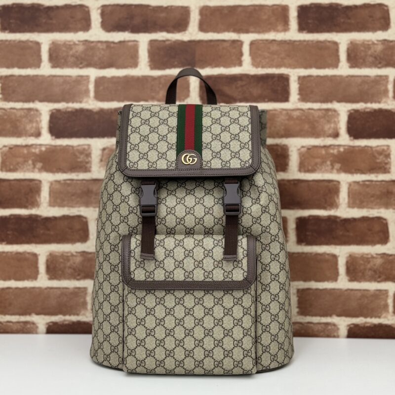GUCCI 专柜品质，顶级原单货，实物实拍！款号792104啡PVC