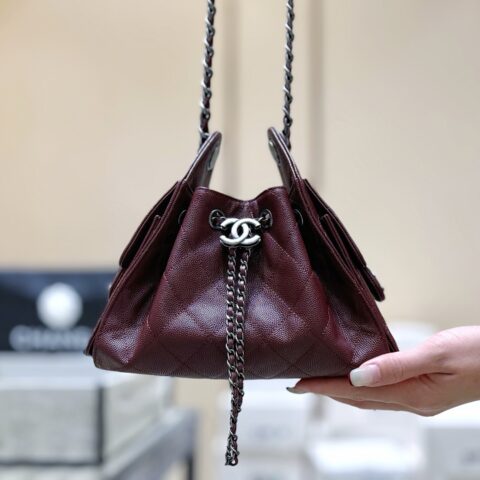 CHANEL  26P “25bag迷你”登场👜 AS5631
