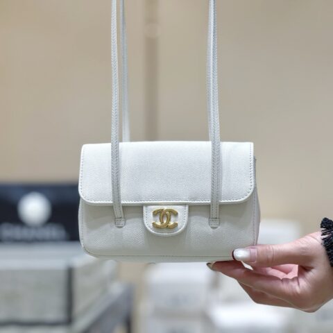 CHANEL 26P Preppy coco包王👜 AP5068白色