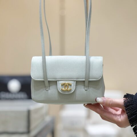 CHANEL 26P Preppy coco包王👜 AP5068浅蓝
