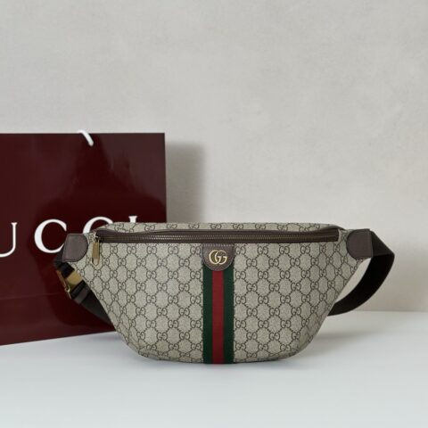 GUCCI 专柜品质，顶级原单货，实物实拍！款号839104啡胶