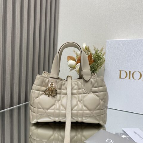 DIOR TOUJOURS 手袋 型号:2822〔浅杏小号〕