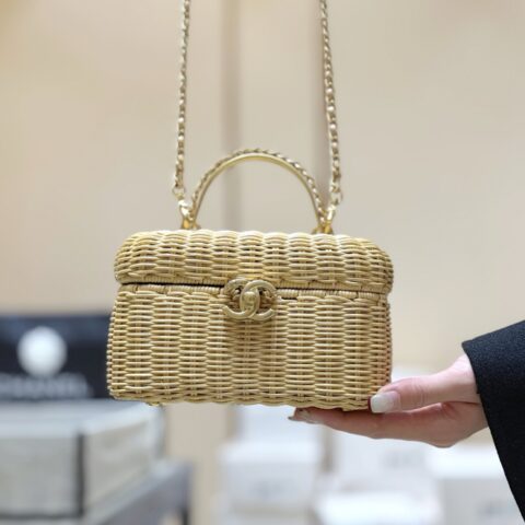 CHANEL 26C 限量藤条化妆包👜 AS5993