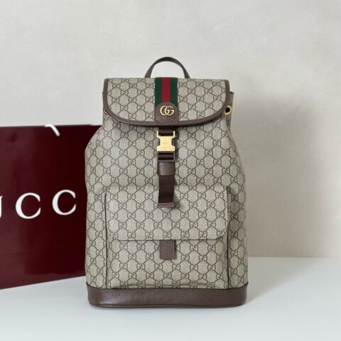 GUCCI 专柜品质，顶级原单货，实物实拍！款号839109啡胶