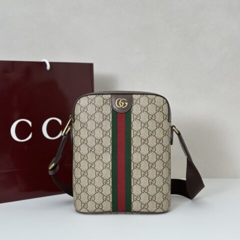 GUCCI 专柜品质，顶级原单货，实物实拍！839103啡胶