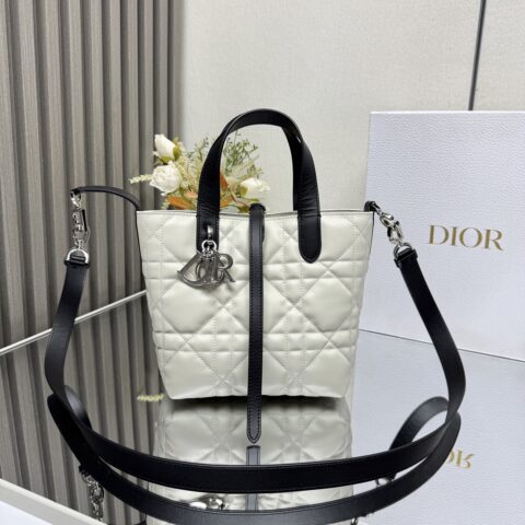DIOR Toujours竖版手袋 款号：2835