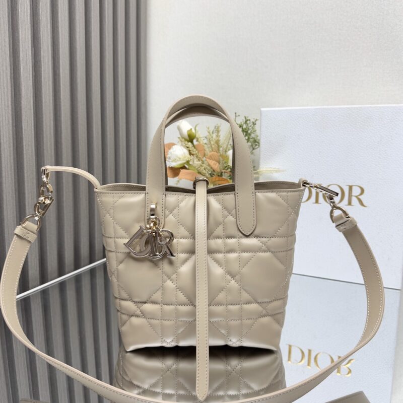 DIOR Toujours竖版手袋 款号：2835杏色