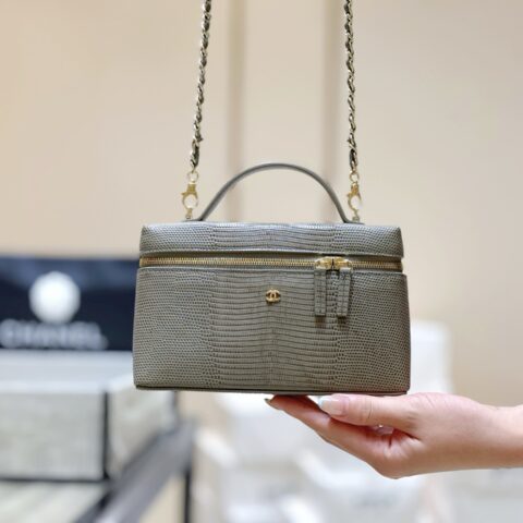CHANEL 26A 蜥蜴纹LP饭盒包👜 AP4385