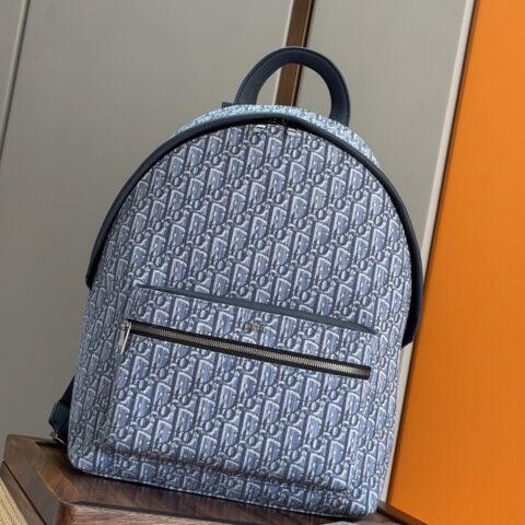 dior迪奥Rider 双肩背包型号：93328浅蓝布