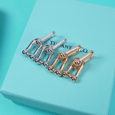 Tiffany&co 蒂芙尼双环耳环