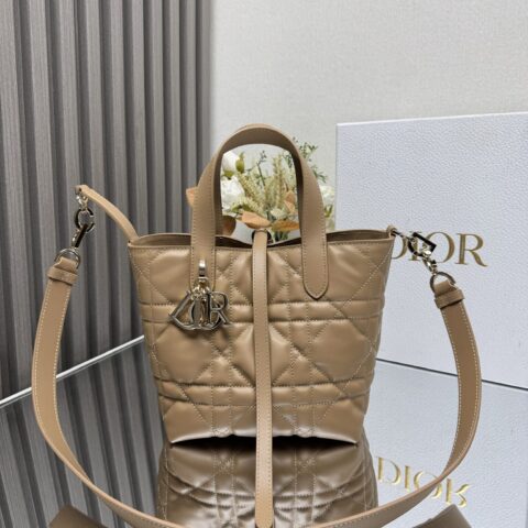 DIOR Toujours竖版手袋 款号：2835棕色
