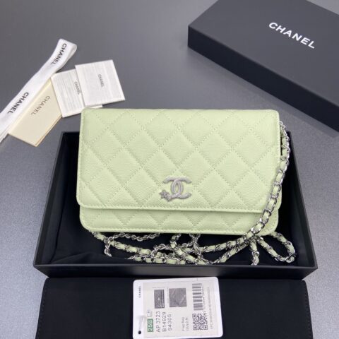 CHANEL 小香进口意大利小羊皮 货号:AP3723淺綠細球紋銀色五金