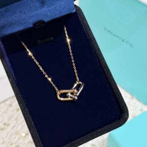 ❗️新品❗️ ☀Tiffany&co 蒂芙尼 HardWear双色金项链 ☀